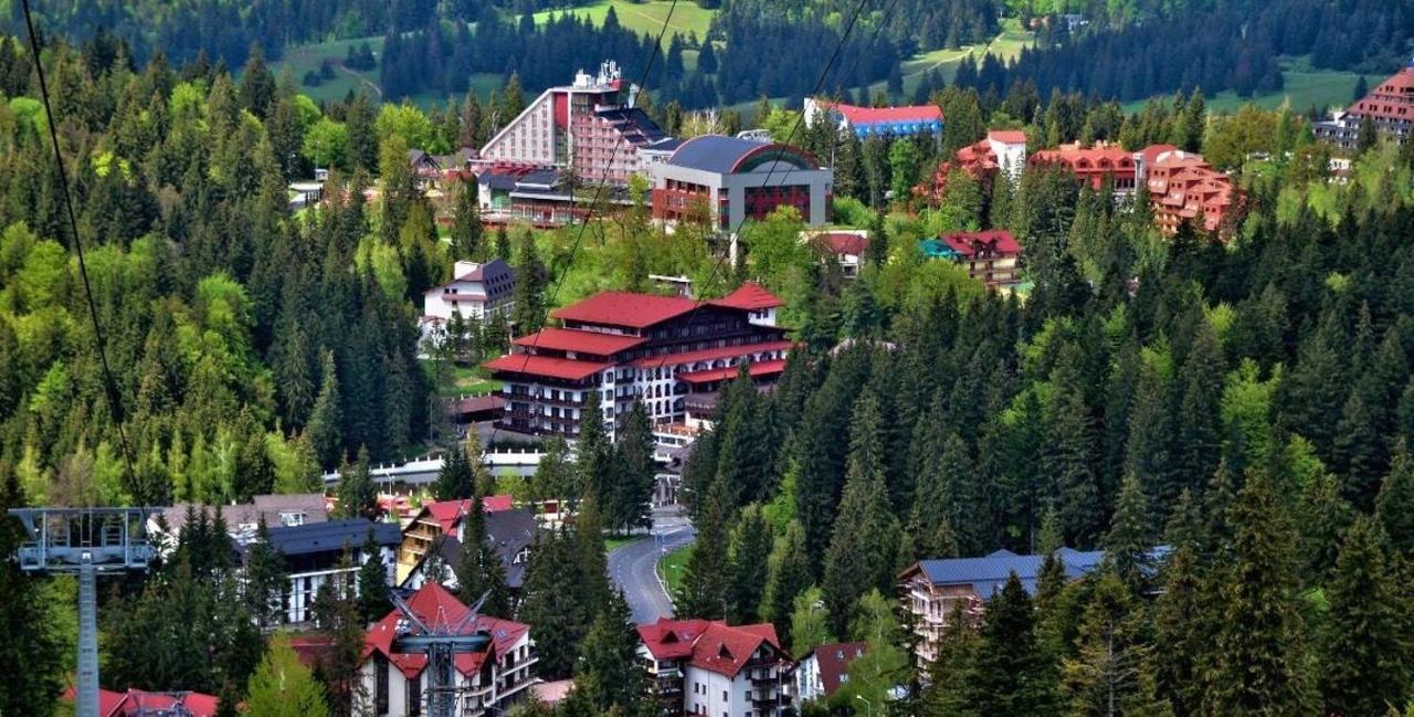 Garsoniera Delia Brasov Lägenhet Exteriör bild